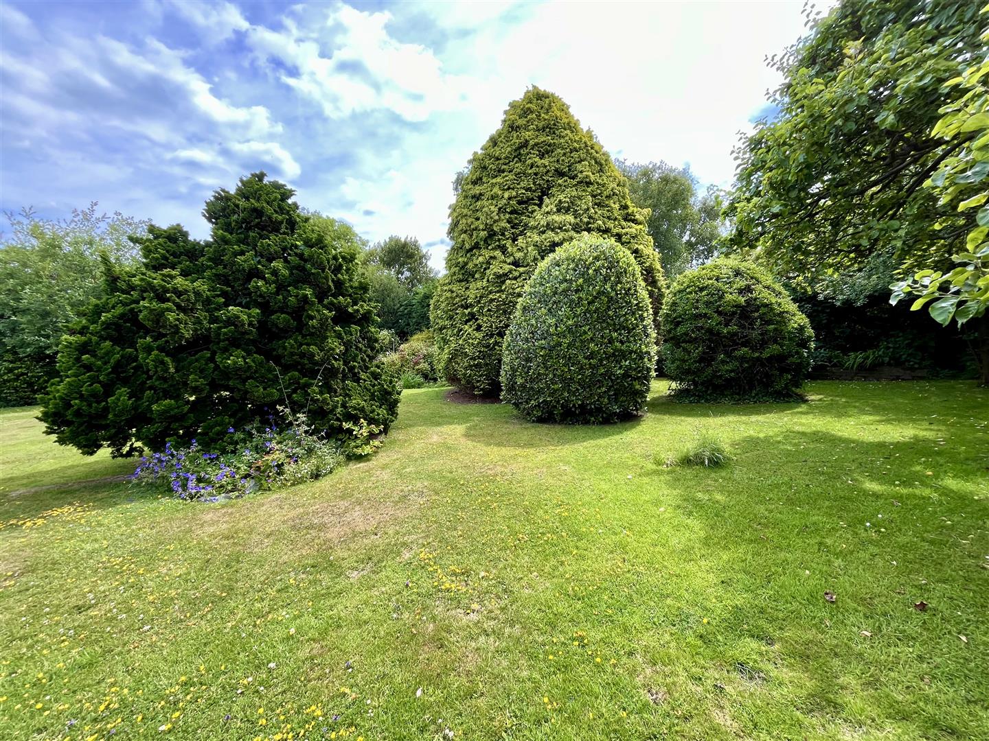 Lower Waites Lane, Fairlight, Fairlight